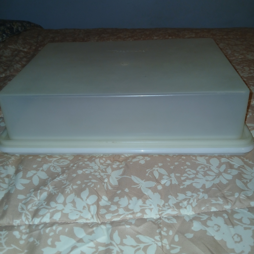 Vintage Tupperware Rectangle Cake Carrier